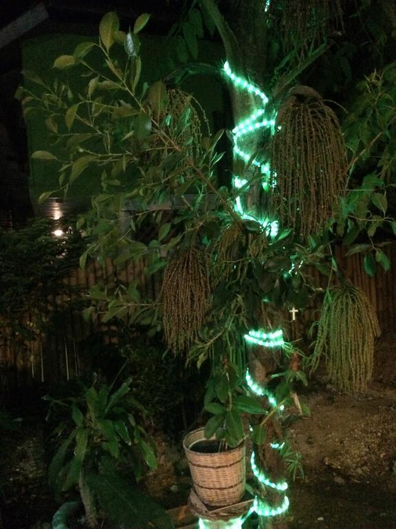 Blue Bamboo