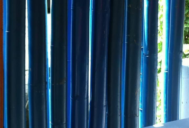 Blue Bamboo