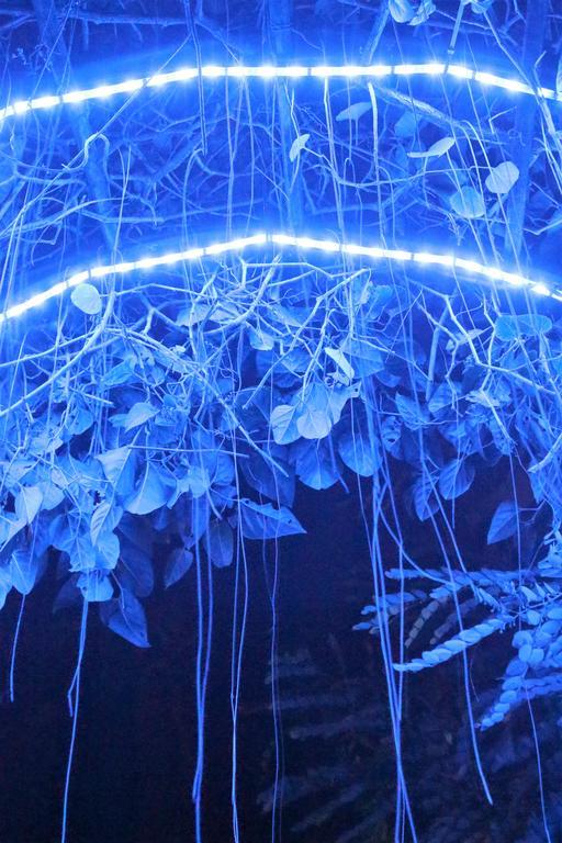 Blue Bamboo Hotel